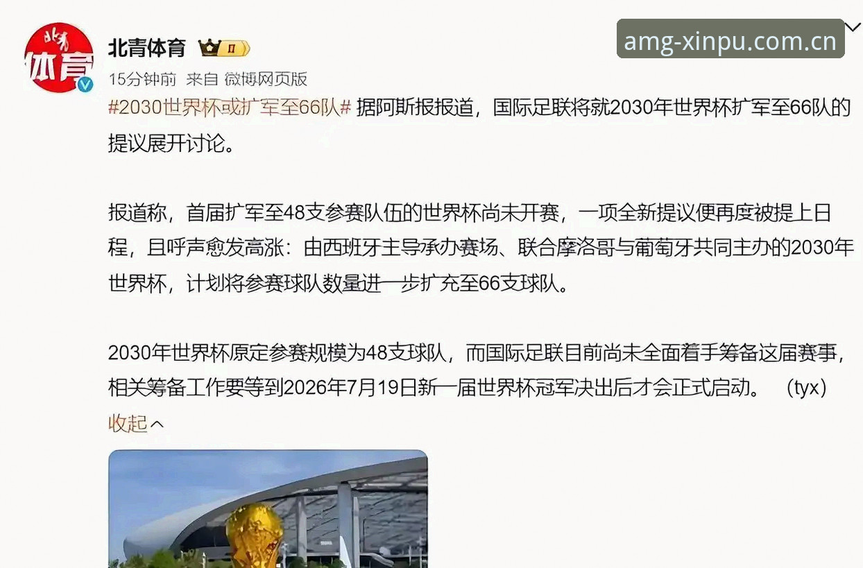 新葡萄8883投注平台安装失败 2030世界杯扩军操作教程:从66队方案看中国男足入场机会