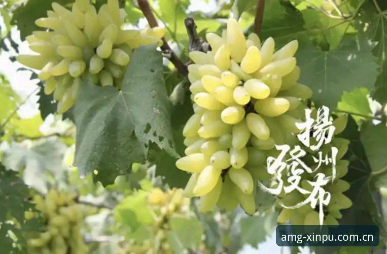新葡萄8883官方渠道手机版 新葡萄8883官方渠道手机版到底值不值得下载?技术评测告诉你真相